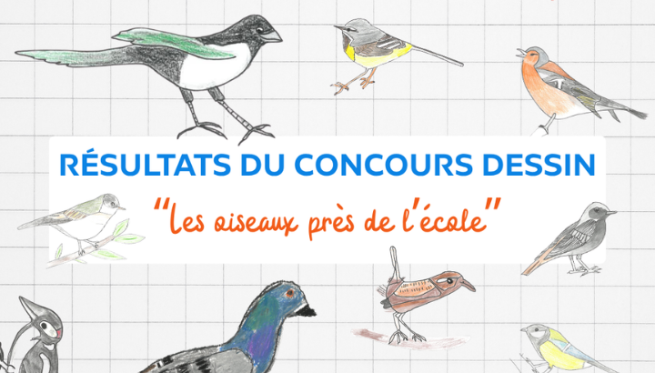 Les résultats du concours dessin !